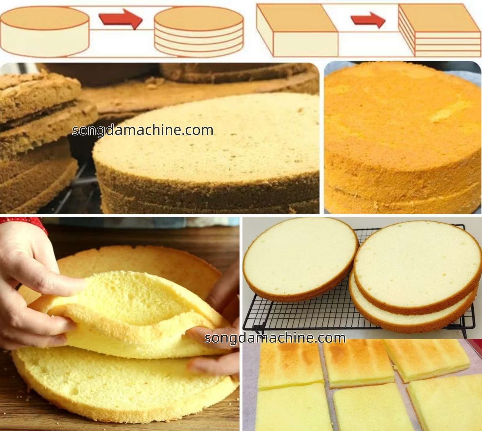 cake cutter machine